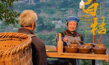 阅读和沉淀是创作的源泉——专访《白桔》作者沈力