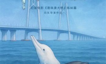 吉祥物原型“拍片”了！纪录电影《中华白海豚》12月12日全国上映