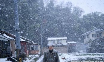 北村匠海踏上寻父之旅 新片《麻木》搭档宫泽理惠