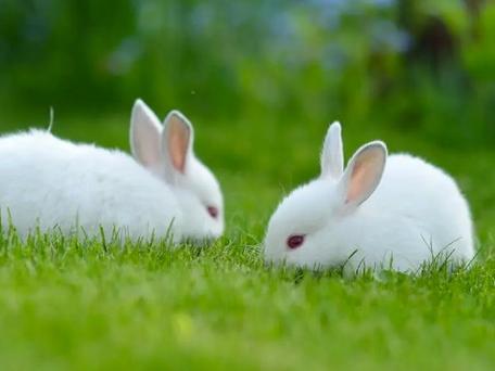 1ea9bf9987e1b0cf0f39f42b328f9bae