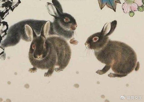 1ac33f4fb9f1b69ef856f2bec8435bba