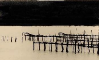 从公众号到AI短剧，是普通人错过的十年