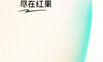 红果做的是短剧生态，而不只是短剧内容