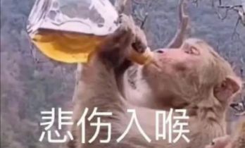 为何我们爱动画电影中那些“疯狂”的动物们？！