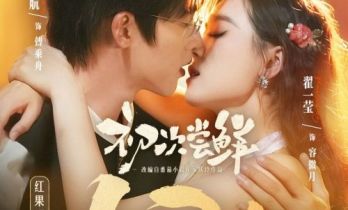 红果短剧创作服务平台孵化短剧《初次尝鲜》观看量突破10亿