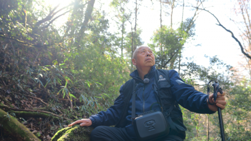 秦岭大熊猫研究专家 雍严格