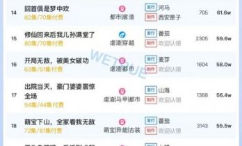 12月29日付费短剧大盘4199万：《夫人她专治不服之将门捉婿》第一