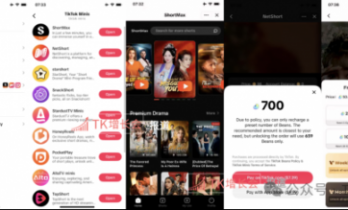 9块9霸总短剧海外卖到10美金，TikTok上线短剧小程序TikTok Minis