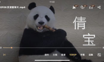 关于大熊猫的情绪，你可能只猜对了一半！