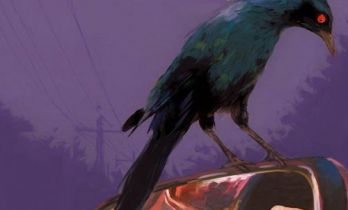 电影《两个时区》开机 张鲁一齐溪新片离婚不离家