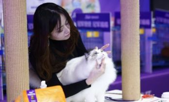 首届宠物奥林匹克超级赛启动 世界级猫赛辐射全国引热潮