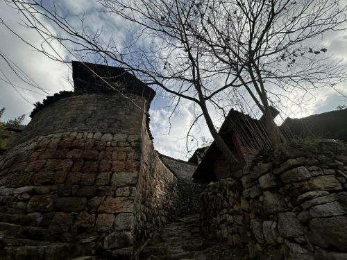 M:/2026年/电影《雁归巢》新闻/微信图片_20260122143107_85_4.jpg微信图片_20260122143107_85_4