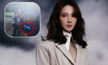 交警回应金晨肇事逃逸：金晨或将面临被传唤，警方已成立调查组