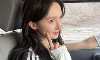 律师解析金晨风波：她受伤去医院不算逃逸，但助理已触及行政违法