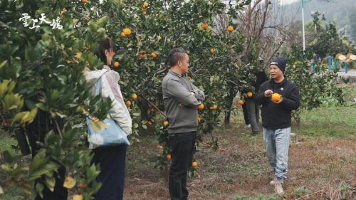 E:/2025/短剧《云上天娇》项目/云上天娇-剧组水印版/云上天娇-剧组水印版/LP_01491.jpgLP_01491