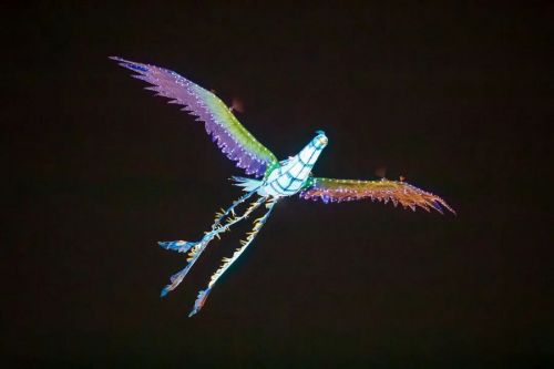 1115181eff247d79bea9c3e2613c5221