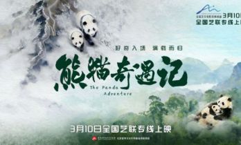 纪实电影《熊猫奇遇记》暖心定档，3月10日解锁国宝全生命周期密码