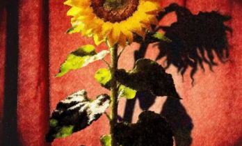 小柯剧场《因为爱情》十四载焕新归来 沉浸式鼻祖再破观演边界