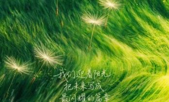 陈赫邓超秦海璐“卷”入新手村！《奋斗吧人生-演员篇》岗前实训开启