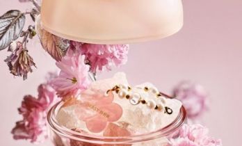 野兽派2026樱花清酒系列全新上市