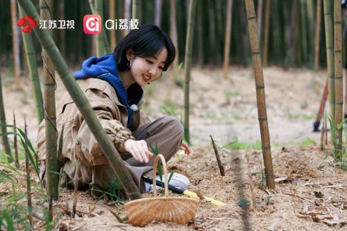 微信图片_2026-04-03_140348_274