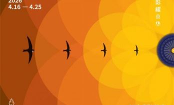 260部重磅来袭！这份片单不能错过