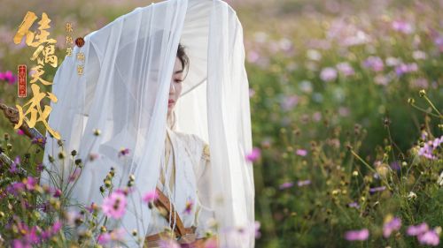 121351777038235_.pic_hd