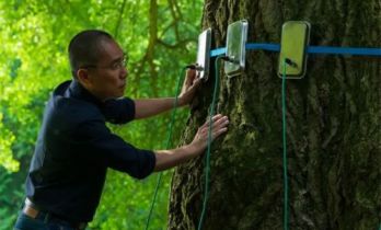 梁朝伟新片《寂静的朋友》上映，嘿！来抱抱树吧