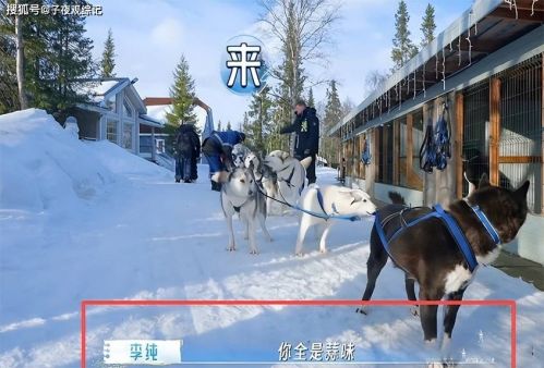 文章配图-2