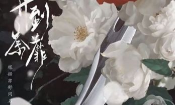亦舒经典《开到荼蘼》开机 白梦妍（白鹿）领衔演绎致命复仇